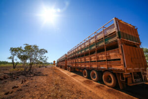 Truck